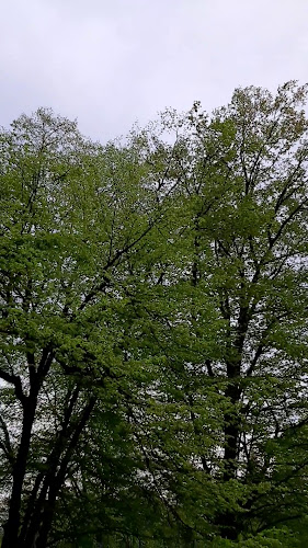 Értékelések erről a helyről: Népkert, Miskolc - Parkoló