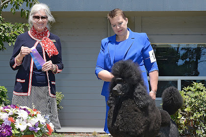 tieton drive animal clinic staff
