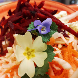 Photo n°23 de Picorette - Cantine végétarienne à Gap (Restaurant)