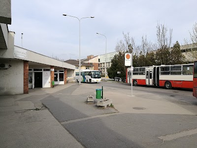 bus-station