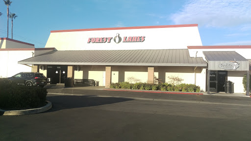 Forest Lanes - Visual