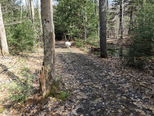 Laurel Mill Cross Country Ski Area Parking - Thumbnail