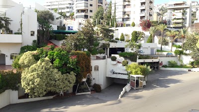 Photos of Regency Palace Hotel Lebanon