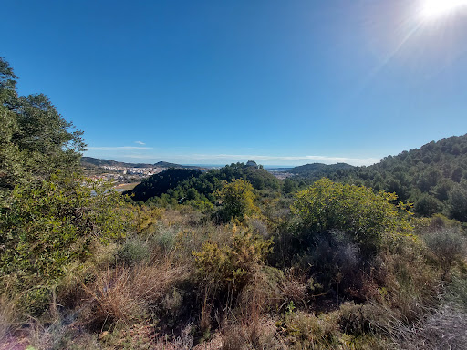 Ermita de Sant Antoni Abad - Thumbnail