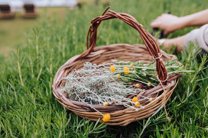 Battimandorlo Ristorante by null