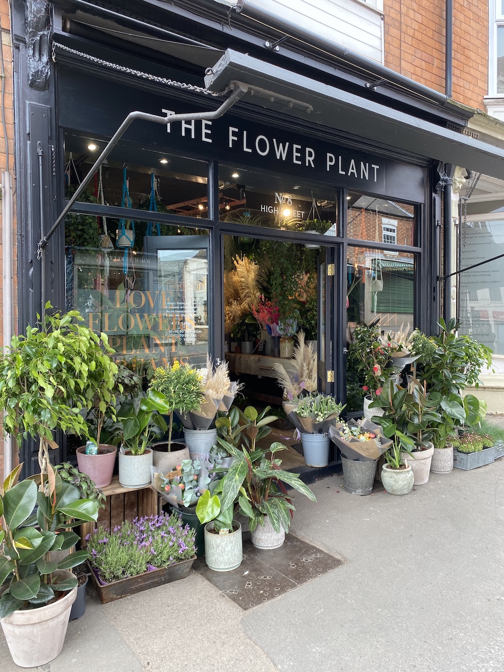 The Flower Plant - Florists - photo 1