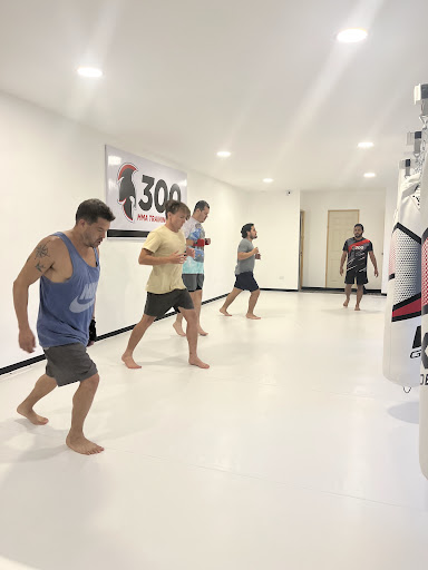 300 MMA Training Center Surf City
