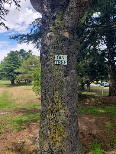 Rangiora Golf Club - Thumbnail