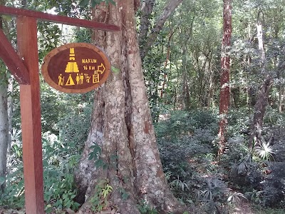 Photos of Juego de la pelota