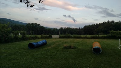 Photos of The Paw House Inn
