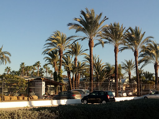 Gavà - Visual