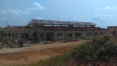 Photos of Latex foam Angola