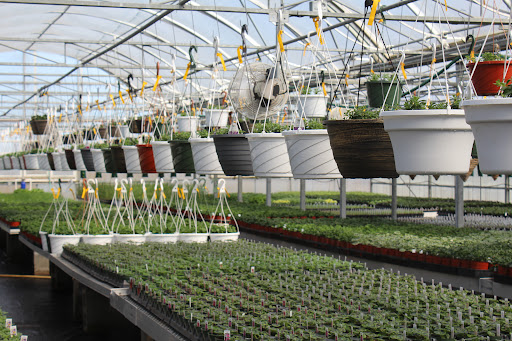 Hillside Produce & Greenhouse - Thumbnail