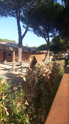 Scuola materna ”Domenico Bernabei” Gallery - Italy
