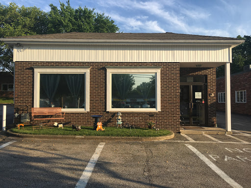 Nine Lives Cat Center