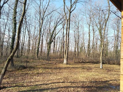 Sakarya İl Ormanı Tabiat parkı konakları