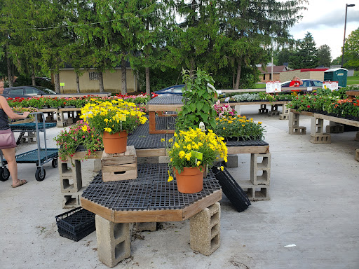Witten Farm Market - Thumbnail