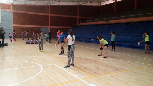 Gimnasio de Alto Rendimiento Tangamanga ll - Thumbnail
