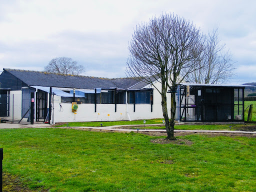 Iris's Animal Farm Cattery - Thumbnail
