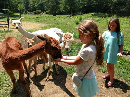 Sugg Plantation And Alpaca Farm - Thumbnail