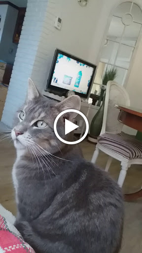 Photo de Résidence de France à Festubert (62149)