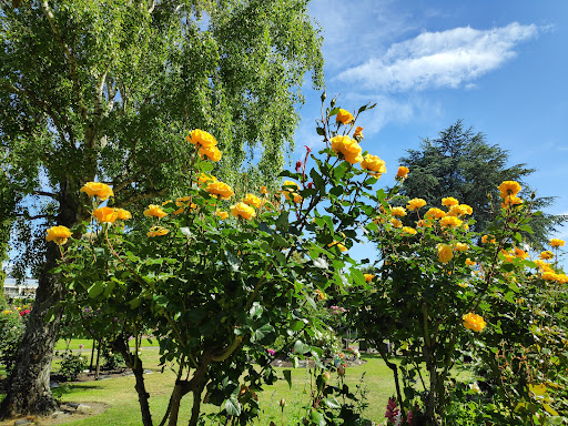 Canterbury Memorial Gardens - Thumbnail