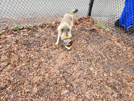 East Providence Dog Park - Thumbnail