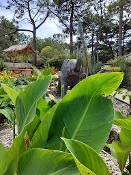 Photo n°11 de The Jungle Spa à Notre-Dame-de-Monts (Centre de bien-être)