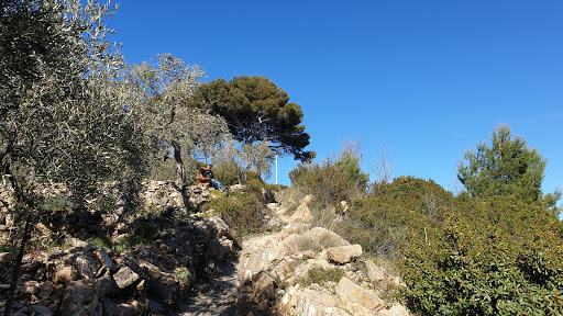 Parco comunale del Ciapà