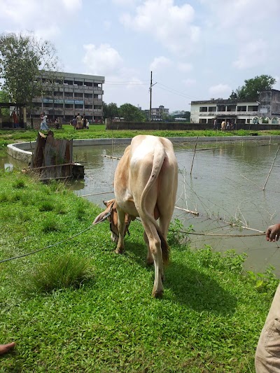 Photos of গাজী জামে মসজিদ
