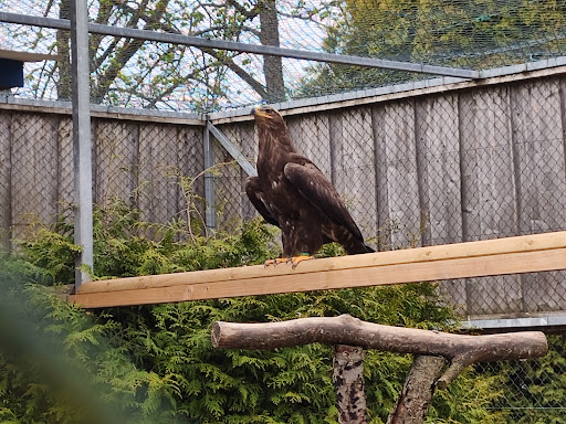 Vogelpark Schotten - Thumbnail