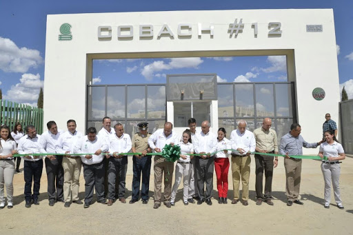 COBACH 12