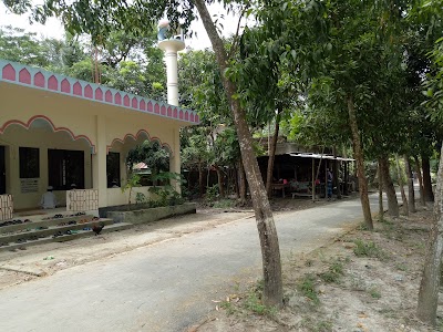 Photos of Patoary Bari Mosque