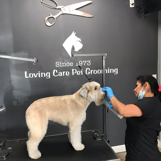 Loving Care Pet Grooming - Thumbnail