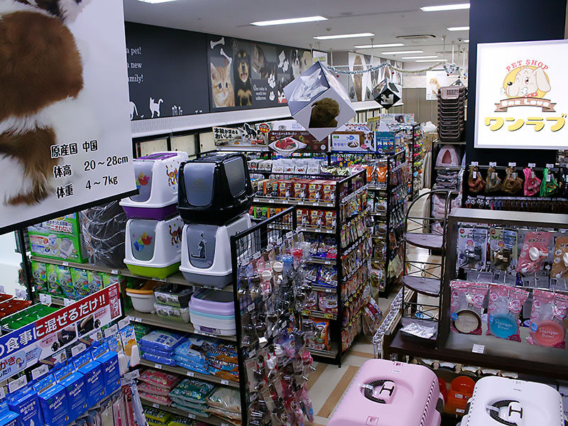 ペットショップワンラブ ゆめタウン武雄店