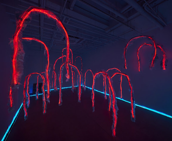 Magenta Plains by null