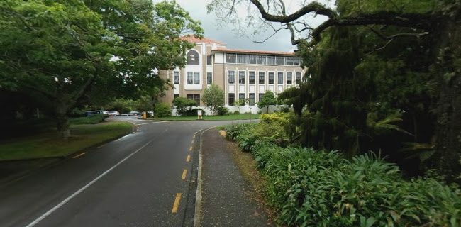 Massey University Students' Association (MUSA) - Other