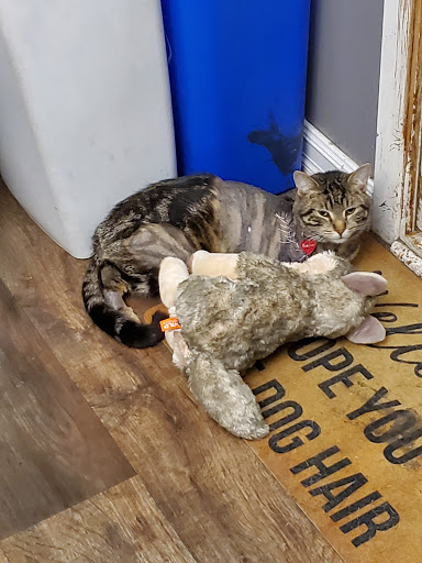 Prairie East Veterinary Clinic