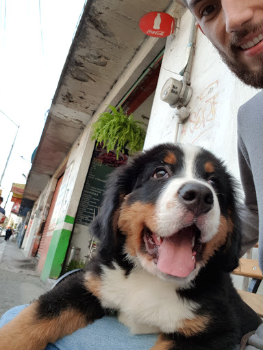 Veterinaria "La Potra Zaina"