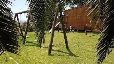 Photos of Puerto Coipo