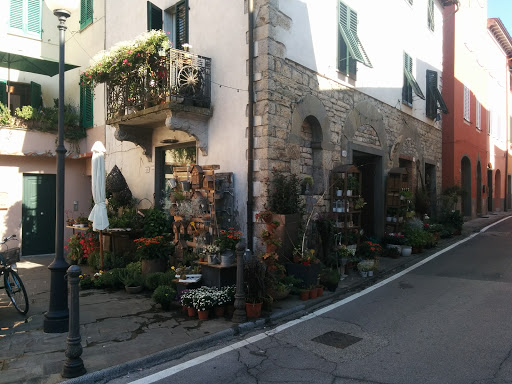 Barsanti Sabrina - Visual