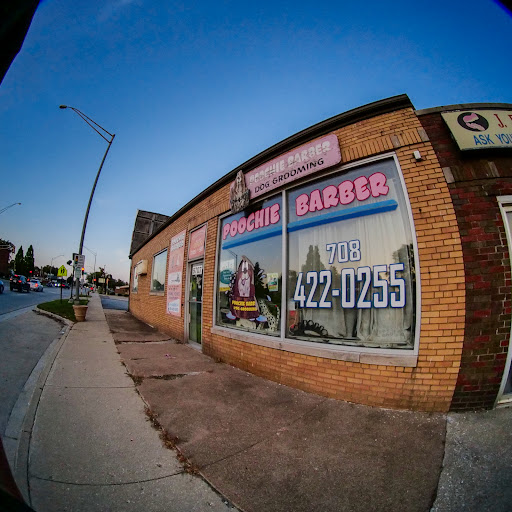 Poochie Barber - Visual