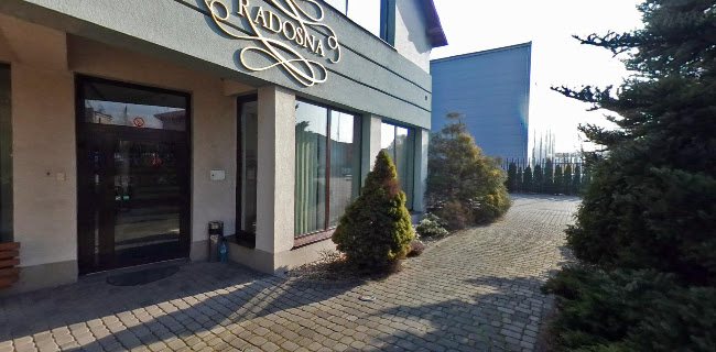 Dom Weselny Radosna - Organizator imprez