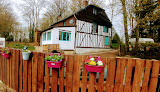 photo de Belle Floride à Rocquigny
