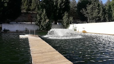 Photos of Station de Pisciculture Ras Elma