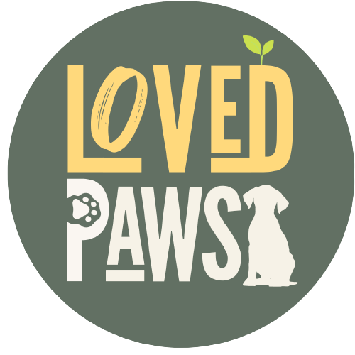 LovedPaws - Visual