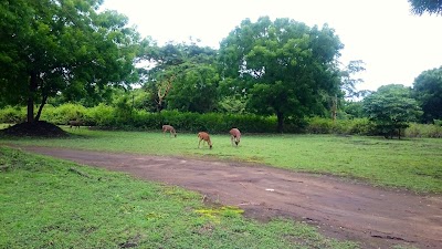 Photos of West Bali National Park
