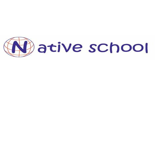 Native School - Visual