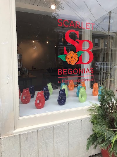 Scarlet Begonias, A Floral Experience