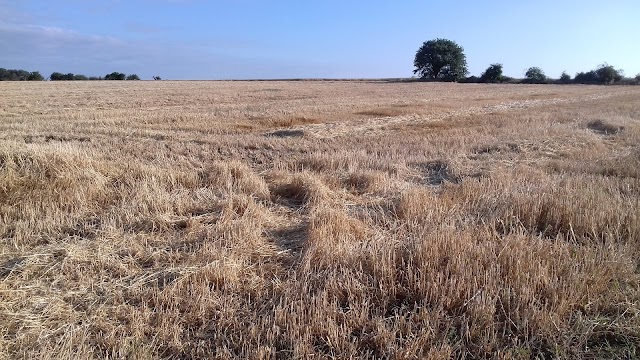 Parc Naturel Régional de la Brenne